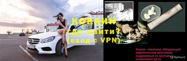 сатива Абаза