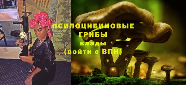 сатива Абаза