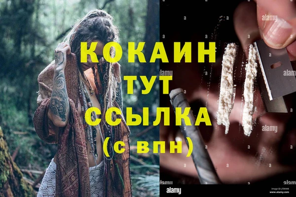 сатива Абаза
