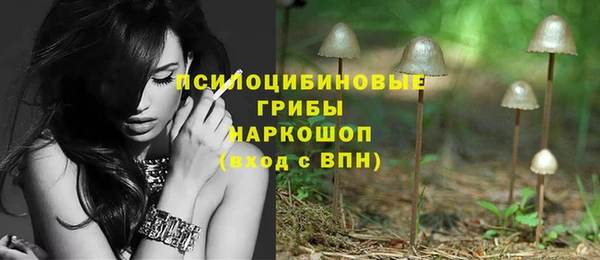 ГАЛЛЮЦИНОГЕННЫЕ ГРИБЫ Абинск